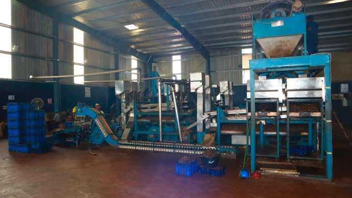 Usine donga